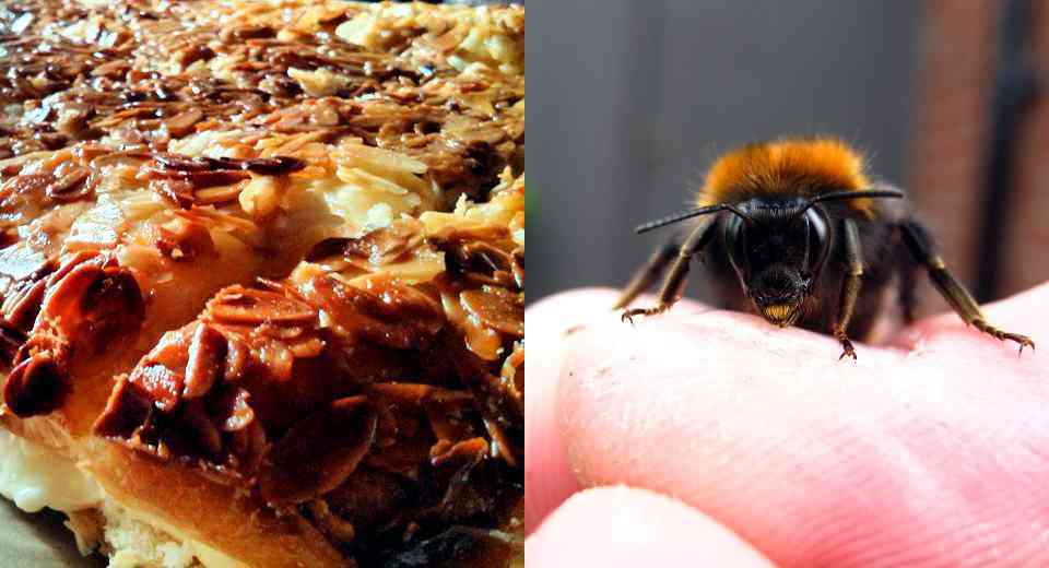 Beim Teekesselchen-Spiel ist Bienenstich ein gutes Beispiel für ein Teekesselchen