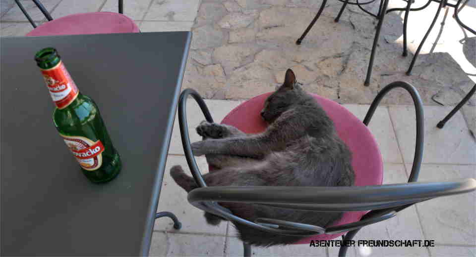 No holiday with friends without sleeping and partying