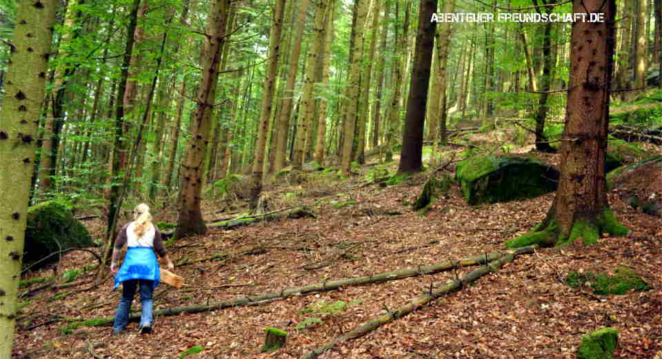 20 Freizeitaktivit Ten Im Herbst Die Du Auf Keinen Fall Vers Umen Darfst Eine der besten Freizeitaktivitäten im Herbst ist die Pilzsuche