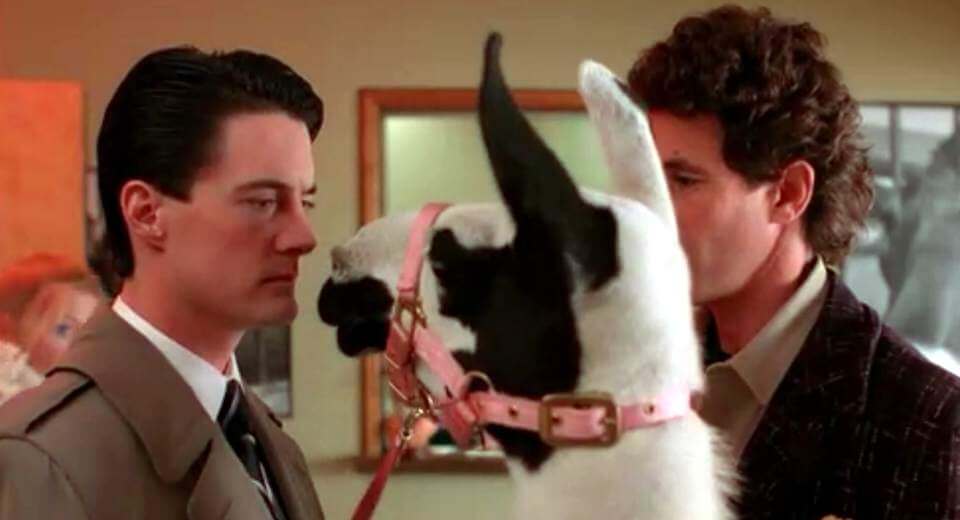 Twin Peaks F R Anf Nger Eine Flammende Liebeserkl Rung In Twin Peaks passieren ständig surreale und merkwürdige Dinge.