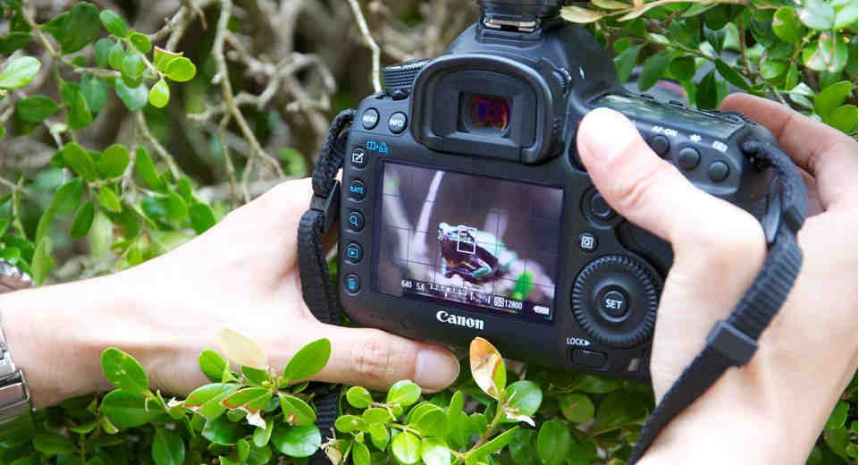 How To Shoot A Video With Your Phone Or Camera The Basics How to shoot a video tip 5: Always remember to shoot enough frames.
