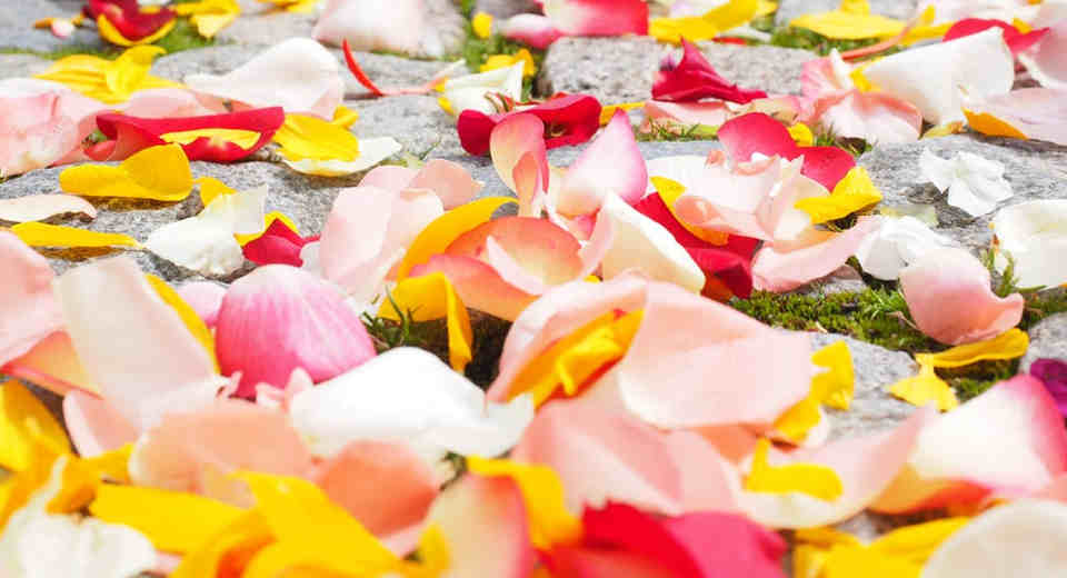 Berraschung Nach Dem Standesamt 10 Ideen F R Kleine Amp Gro E Berraschungen Als Überraschung nach dem Standesamt Rosenblätter werfen