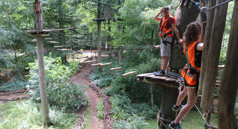 Waldhochseilgarten Jungfernheide Heckerdamm 260 13627 Berlin Abenteuer im Waldhochseilgarten Jungfernheide in Berlin | Erlebnistest