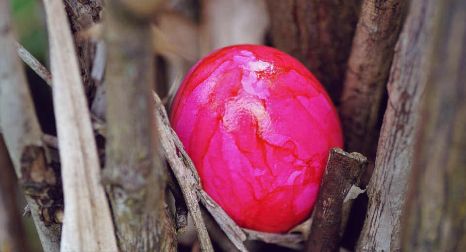 Easter Egg Hiding For The Advanced The 66 Best Hiding Places Easter egg hiding - red Easter egg in a tree