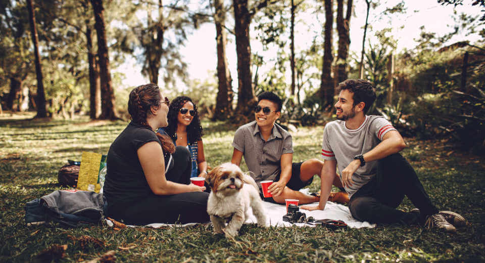 10 Summer Activities For Friends That 039 Ll Give You The Summer Of Your Life Picnicking is one of the best summer activities for friends