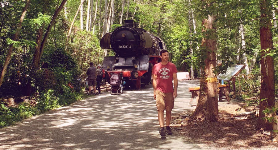 Naturpark S Dgel Nde Sch Neberg Technik Kunst Amp Wilde Natur Im Naturpark Südgelände Schöneberg steht auch noch eine Dampflok
