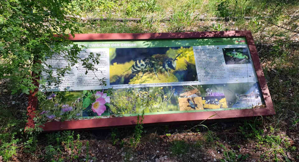 Naturpark S Dgel Nde Sch Neberg Technik Kunst Amp Wilde Natur Tafeln mit Texten geben im Naturpark Südgelände Schöneberg wissenswerte Zusatzinformationen