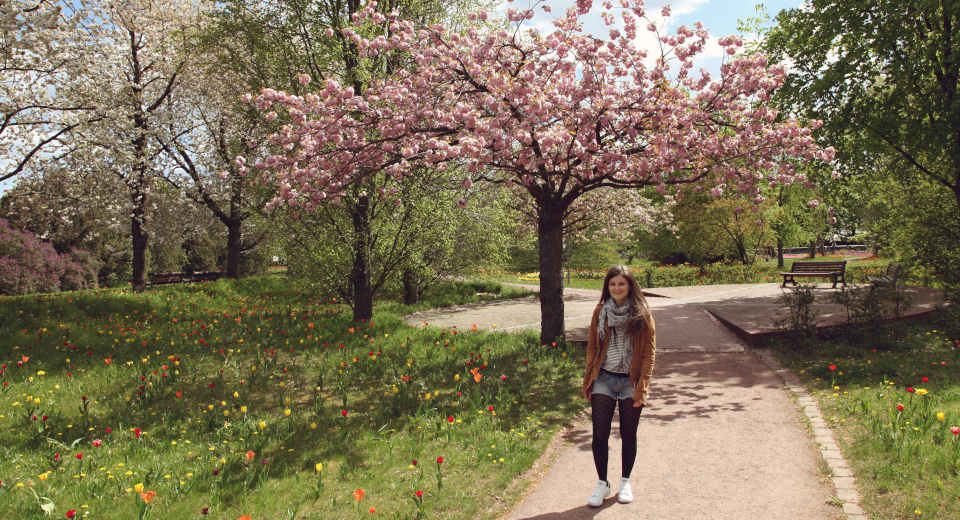 Britzer Garten 6 Tipps F R Deinen Ausflug Ins Berliner Paradies Baumblüte im Britzer Garten