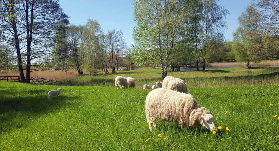 Britzer Garten 6 Tipps für deinen Ausflug ins Berliner Paradies