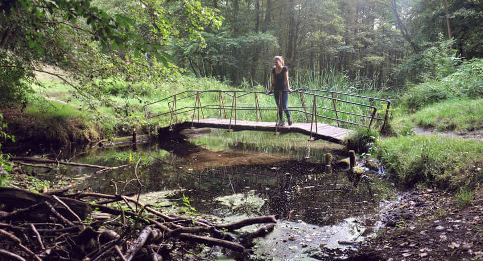 Briesetal Wanderung Der Sch Nste Rundweg Durchs Naturidyll Zwei Brücken bieten die Möglichkeit die Briese zu überqueren und auf der anderen Uferseite zurück zu wandern.