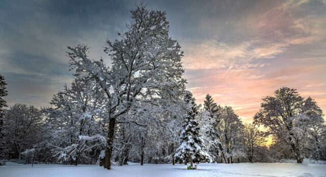 Romantic Christmas Trips For Couples 11 Ideas That Will Make You Look Forward To The Feast Of Love "Taking a walk through a snowy forest is one of the most romantic Christmas trips for couples."