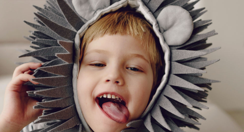 111 Kindergeburtstag Mottos Die Ultimative Ideenliste "Kindergeburtstag Motto Lieblingstiere"