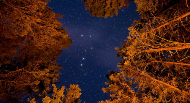 Lagerfeuer Spiele F R Erwachsene 10 X Spa Und Spannung Unter Dem Sternenhimmel "Lagerspiele für Erwachsene tragen zu einer magischen Atmosphäre bei, zum Beispiel kann man Sternbilder im Himmel erraten."