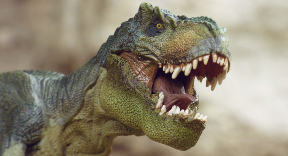 Bayern-an-ostern-dino "An Ostern in Bayern kann man bei den Dinos Eier sammeln"